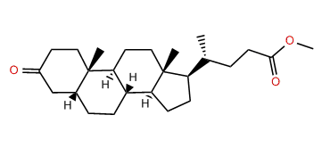 Methyl 5beta-3-oxocholan-24-oate