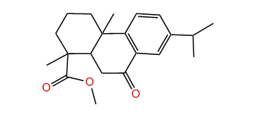 Methyl 7-oxoabieta-9(11),8(14),12-trien-18-oate