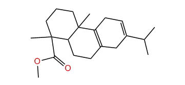 Methyl 8,12-abietadien-18-oate