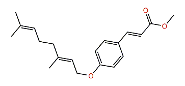 Methyl (E)-4-(geranyloxy)-cinnamate