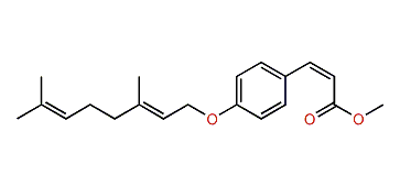 Methyl (Z)-4-(geranyloxy)-cinnamate