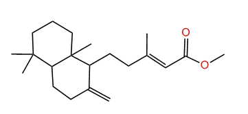 Methyl copalate