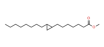 Methyl dihydromalvalate