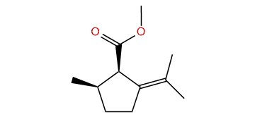 Methyl pulegenate