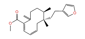 Methyl strictate