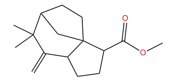 Methyl ziza-6(13)-en-12-oate
