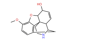 Norcodeine