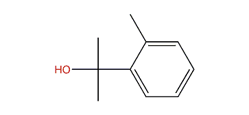 1-Methyl-2-(1-hydroxy-1-methylethyl)-benzene
