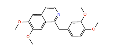 Papaverine