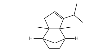 Petasitene