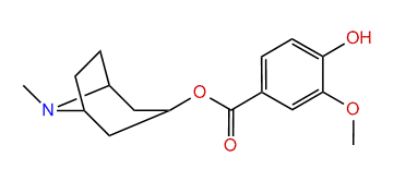 Phyllalbine