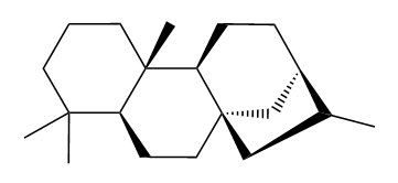 Phyllocladane