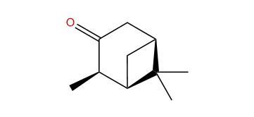 2,6,6-Trimethylbicyclo[3.1.1]heptan-3-one