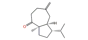 Salvial-4(15)-en-1-one