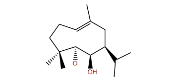 Shiromool