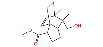 syn-Methyl 11-hydroxymethyl-helifolen-15-oate