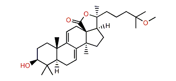 25-Methoxy-17-desoxyholothurinogen