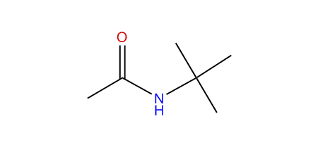 N-tert-Butylacetamide