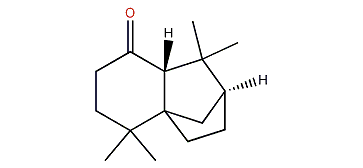 trans-Isolongifolanone