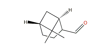 trans-6,6-Dimethylbicyclo[3.1.1]heptane-2-carbaldehyde
