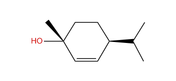 trans-p-Menth-2-en-1-ol