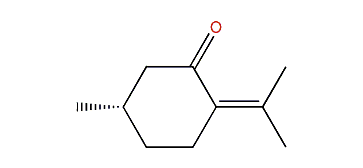 trans-5-Methyl-2-propan-2-ylidenecyclohexan-1-one