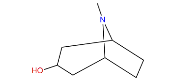 endo-8-Methyl-8-azabicyclo[3.2.1]octan-3-ol