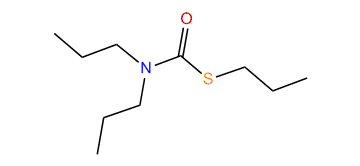 Vernam