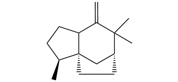 Zizaane